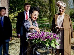 【3】。。当地时间2014年3月23日，荷兰利瑟，中国国家主席习近平夫人彭丽媛（前）给郁金香花施洗礼，荷兰国王与王后为其鼓掌；郁金香为荷兰国花。